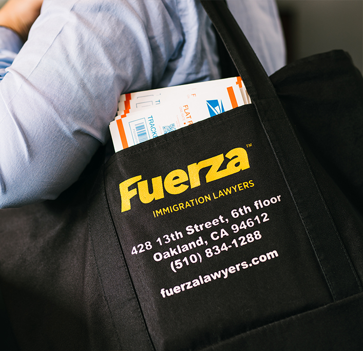 Fuerza tote bag